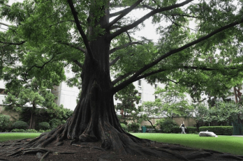 Screen Shot 2016-03-20 at 11.48.53 PM